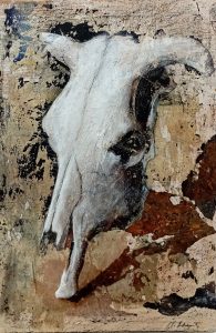 Cráneo 28x18cm. Collage y t. mixta sobre madera.